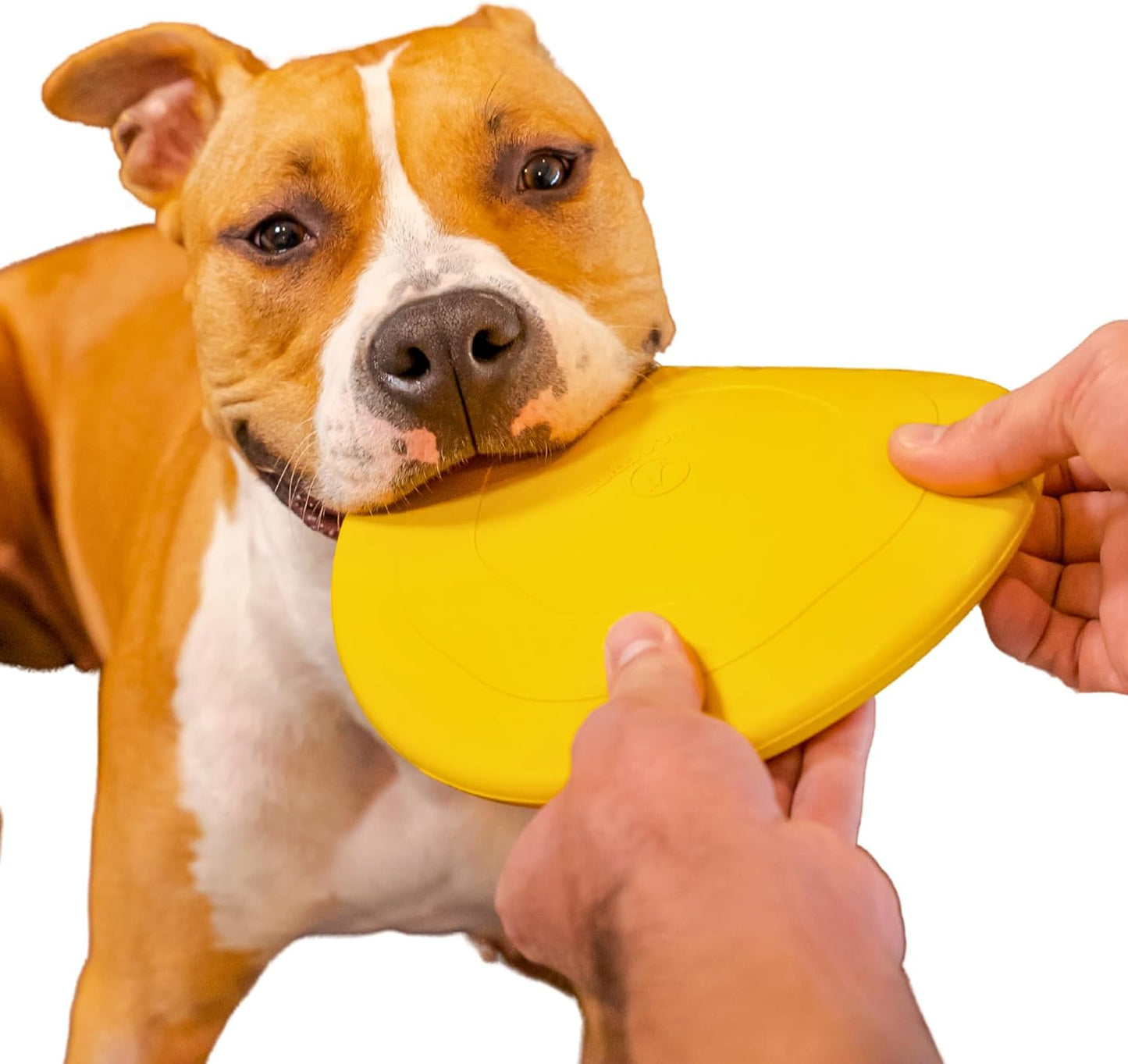 WoofBite® “Indestructible” Dog Frisbee for Toy Destroyers & Aggressive Chewers - Durable, Heavy Duty Natural Rubber - Chew, Tug & Fetch Toy for Medium & Large Breeds