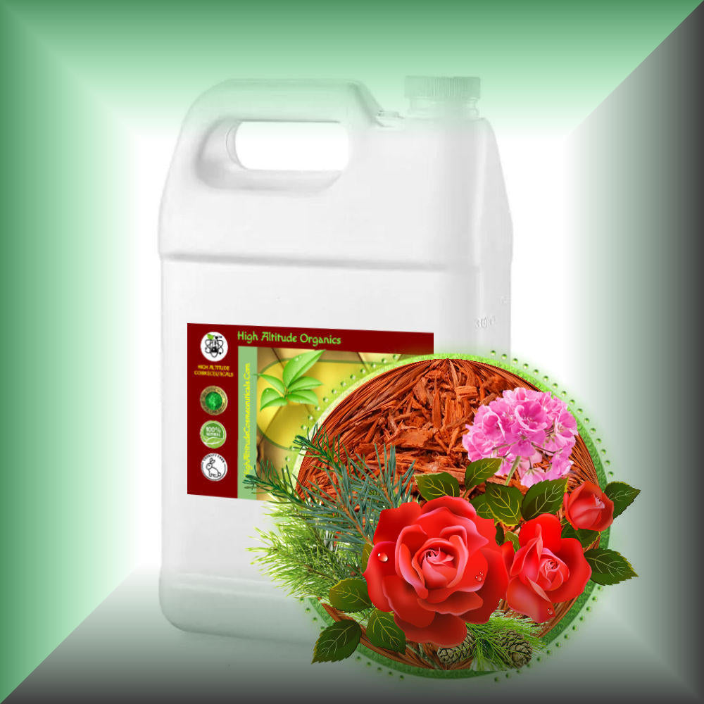 Body Massage Oil *ROSE-SANDALWOOD*