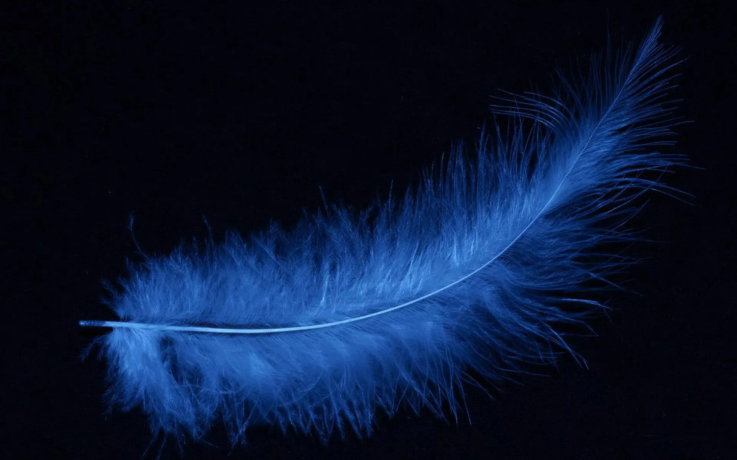 Blue Animal Feather Glass Wall Decor, Tempered Glass Wall Art, House Wall Art, Housewarming Gift