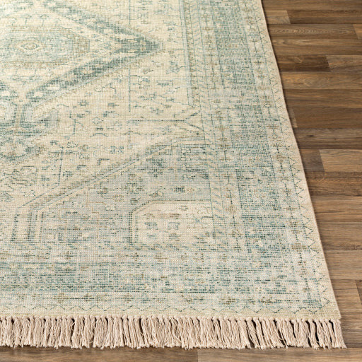 Zainab Rug - ZAI2303 - Sage